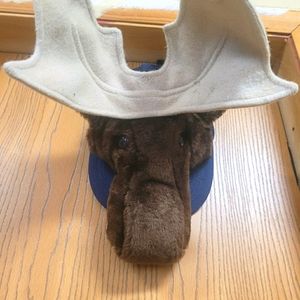 Vintage stuffed moose hat.Snap back Trucker style